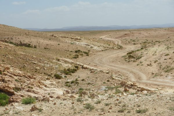 barren land