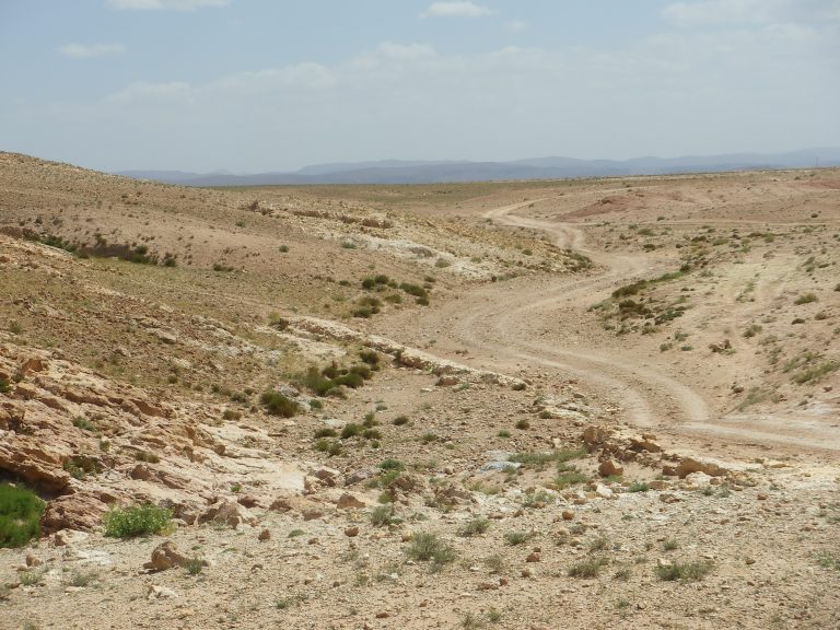 barren-land-trip-in-morocco