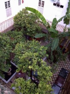 Riad